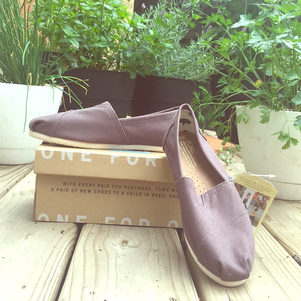 Brand New Gray TOMS 🐨